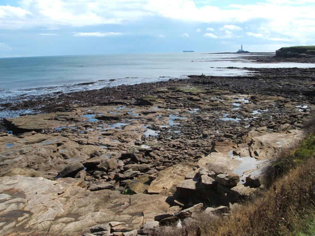 Lighthouse Guest House Whitley Bay Buitenkant foto